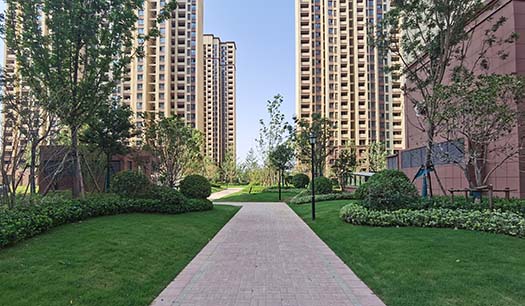 54135.jpg